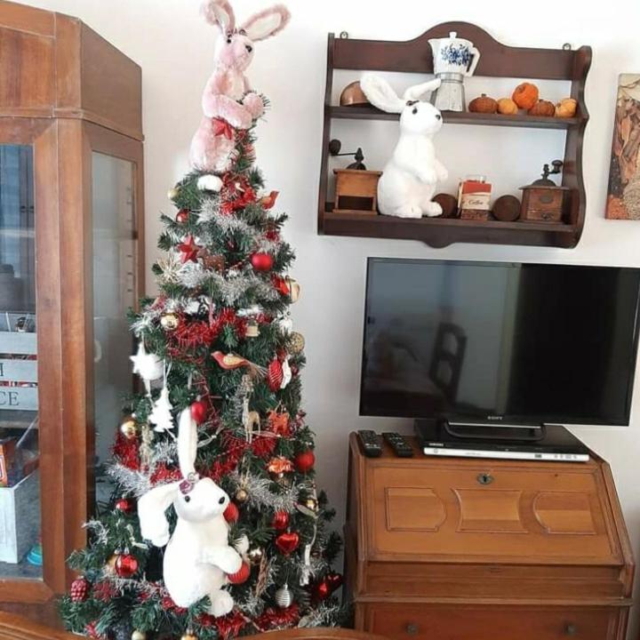 La Tana Dei Conigli Apartment Serra Ricco ภายนอก รูปภาพ